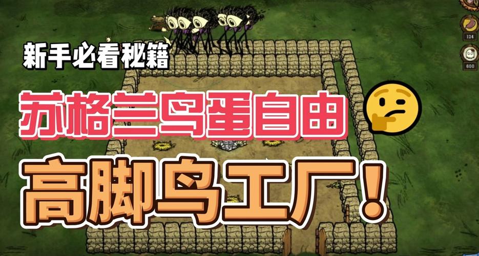 饥荒游戏中养高鸟的有效策略与技巧分享:驯服高鸟的正确方法与食物供应策略