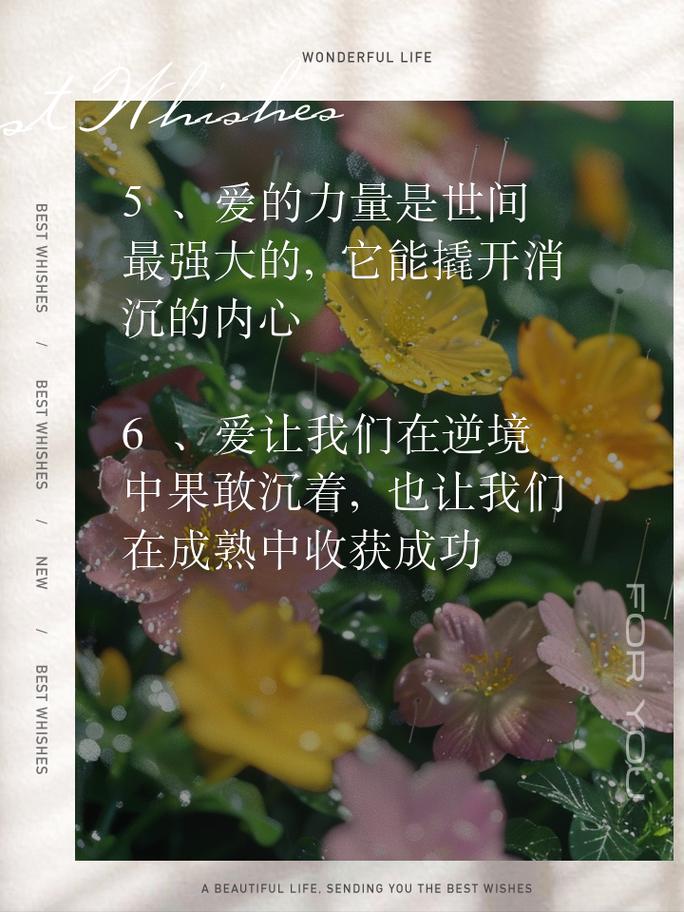 自由成熟性西元视频,聚焦两性话题,全方位解读情感世界,释放爱的力量