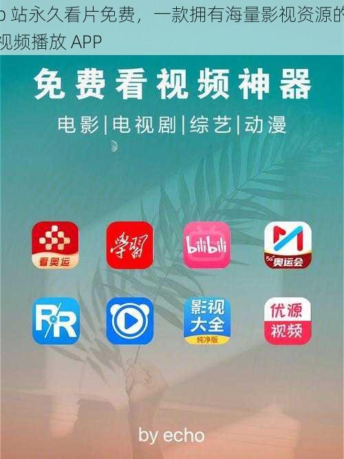 b 站永久看片免费,一款拥有海量影视资源的视频播放 APP