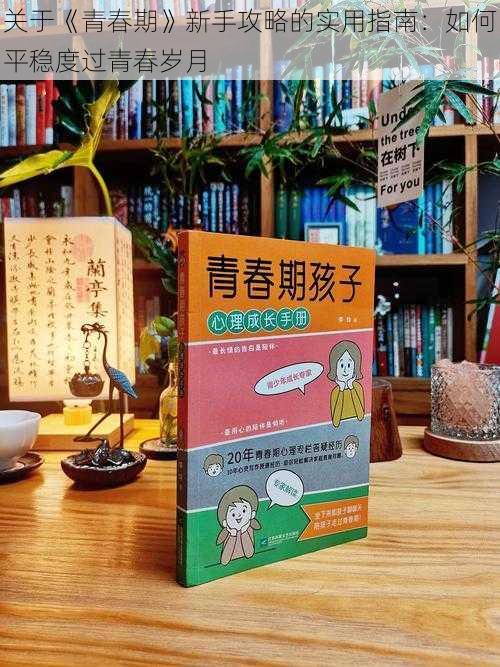 关于《青春期》新手攻略的实用指南:如何平稳度过青春岁月
